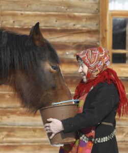 Galina Konyeva, 74, a member of the singing group "Buranovskiye Babushki", feeds a horse at a folk museum near the village of Ludorvai in the central Russian region of Udmurtia March 16, 2012. A group of ladies ranging in age from 43 to 86 who sing traditional songs and pop classics in their own language have been voted by popular demand to represent Russia in the forthcoming Eurovision song contest. Picture taken March 16. REUTERS/Sergei Karpukhin (RUSSIA - Tags: ENTERTAINMENT SOCIETY)